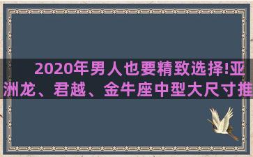 2020年男人也要精致选择!亚洲龙、君越、金牛座中型大尺寸推荐