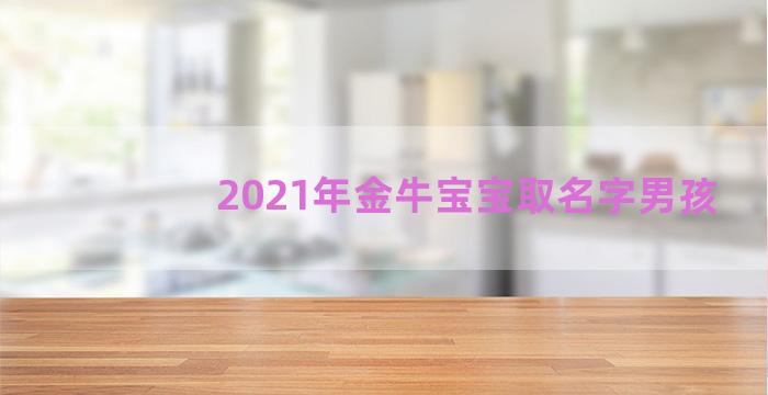 2021年金牛宝宝取名字男孩