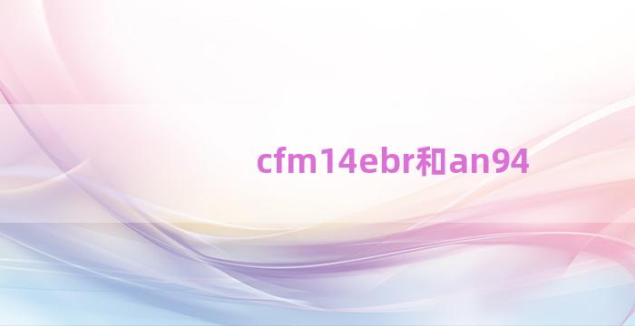 cfm14ebr和an94