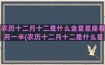 农历十二月十二是什么金星星座看另一半(农历十二月十二是什么星座)