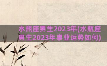 水瓶座男生2023年(水瓶座男生2023年事业运势如何)